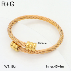 2BA202516bbov-349  Stainless Steel Bangle