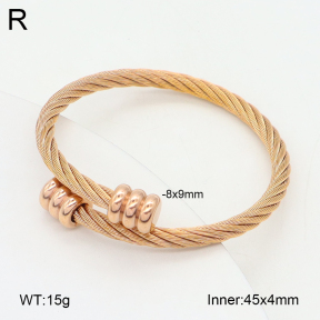 2BA202517bbov-349  Stainless Steel Bangle