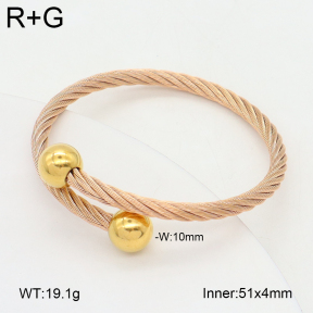 2BA202518bbov-349  Stainless Steel Bangle