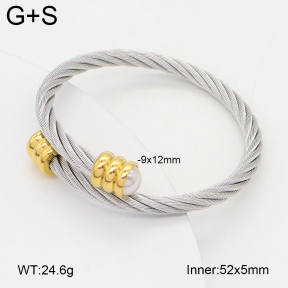 2BA300570vbnb-349  Stainless Steel Bangle