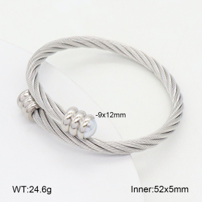 2BA300571vbmb-349  Stainless Steel Bangle