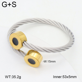 2BA300576bbov-349  Stainless Steel Bangle