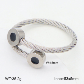 2BA300577vbnb-349  Stainless Steel Bangle