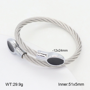 2BA300578bbov-349  Stainless Steel Bangle