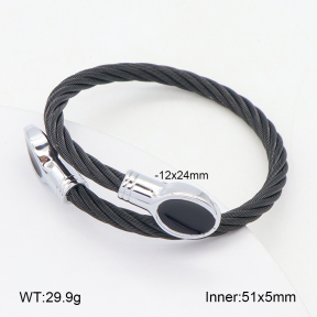 2BA300579vbpb-349  Stainless Steel Bangle