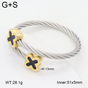 2BA300580vbpb-349  Stainless Steel Bangle