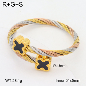 2BA300583bhva-349  Stainless Steel Bangle