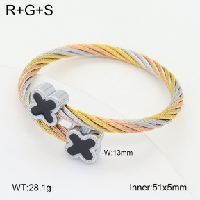 2BA300584vbpb-349  Stainless Steel Bangle