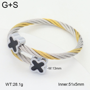 2BA300585bbov-349  Stainless Steel Bangle