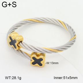 2BA300586vbpb-349  Stainless Steel Bangle