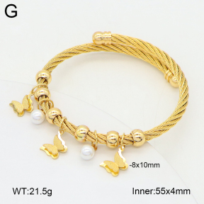 2BA300588vhkb-349  Stainless Steel Bangle