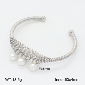 2BA300589bhva-349  Stainless Steel Bangle