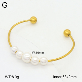 2BA300590bbov-349  Stainless Steel Bangle