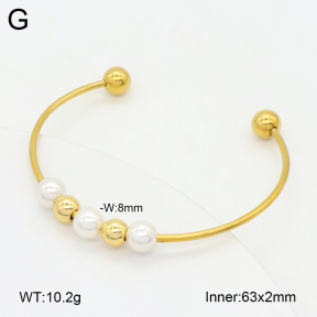 2BA300591bbov-349  Stainless Steel Bangle