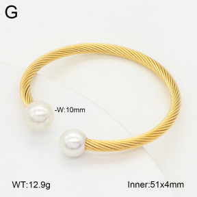 2BA300592bbov-349  Stainless Steel Bangle