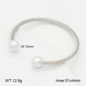 2BA300593vbmb-349  Stainless Steel Bangle