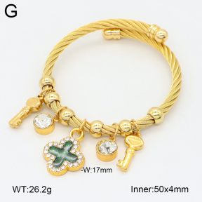 2BA402689vhkb-349  Stainless Steel Bangle