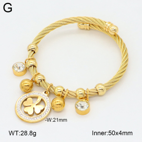 2BA402692vhkb-349  Stainless Steel Bangle