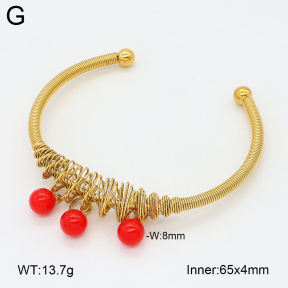 2BA402694bhia-349  Stainless Steel Bangle