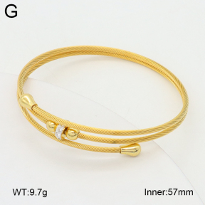 2BA402695bhva-349  Stainless Steel Bangle