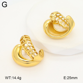 2E2006613ablb-475  Stainless Steel Earrings