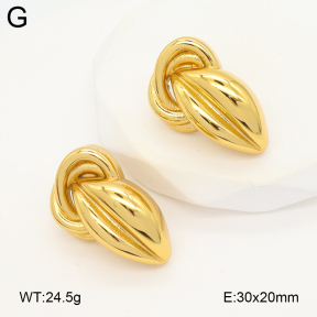 2E2006614ablb-475  Stainless Steel Earrings