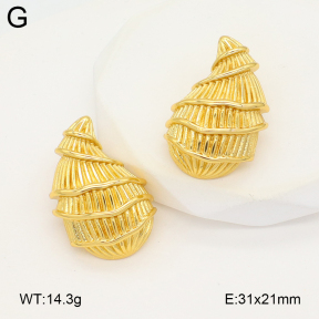 2E2006615ablb-475  Stainless Steel Earrings