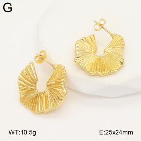 2E2006616ablb-475  Stainless Steel Earrings