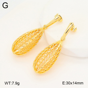 2E2006654vbnl-703  Stainless Steel Earrings