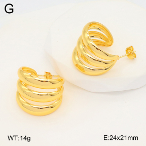 2E2006655ablb-703  Stainless Steel Earrings