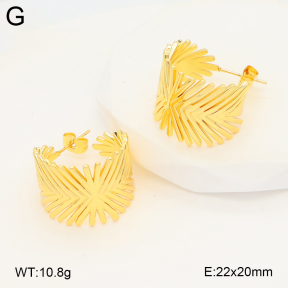 2E2006656ablb-703  Stainless Steel Earrings