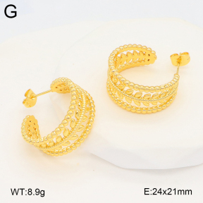 2E2006657ablb-703  Stainless Steel Earrings