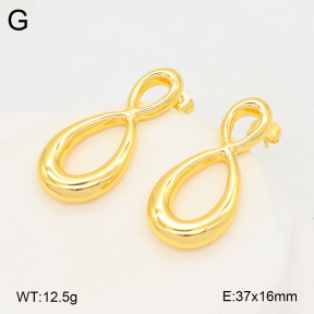 2E2006659vbll-703  Stainless Steel Earrings