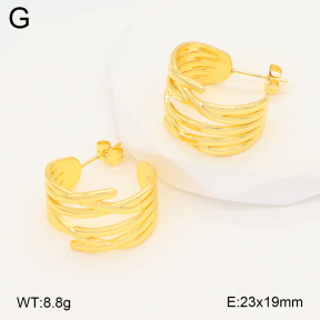 2E2006660ablb-703  Stainless Steel Earrings