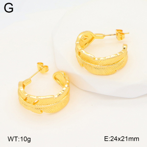 2E2006661ablb-703  Stainless Steel Earrings