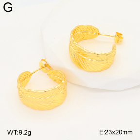 2E2006662ablb-703  Stainless Steel Earrings