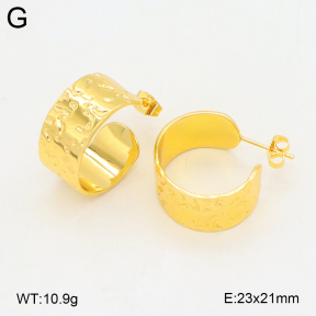 2E2006663ablb-703  Stainless Steel Earrings