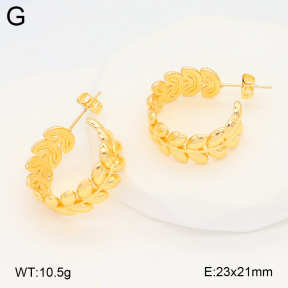 2E2006664ablb-703  Stainless Steel Earrings