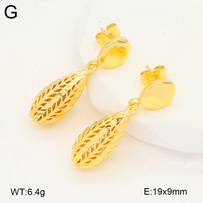 2E2006665vbnl-703  Stainless Steel Earrings