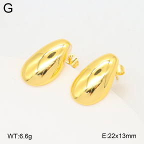 2E2006666bbml-703  Stainless Steel Earrings