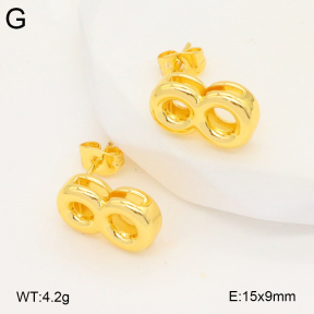 2E2006668vbll-703  Stainless Steel Earrings