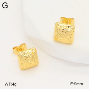 2E2006670ablb-703  Stainless Steel Earrings