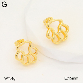 2E2006671vbll-703  Stainless Steel Earrings