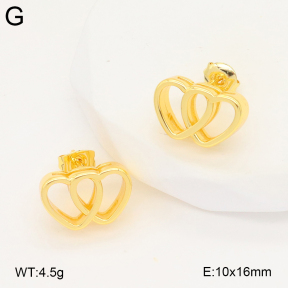 2E2006674vbll-703  Stainless Steel Earrings