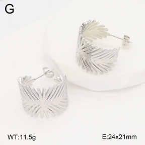 2E2006675ablb-703  Stainless Steel Earrings