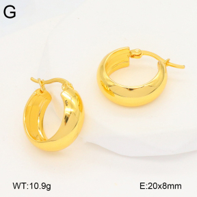 2E2006676ablb-703  Stainless Steel Earrings