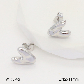 2E2006677baka-703  Stainless Steel Earrings