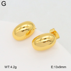 2E2006678bbov-703  Stainless Steel Earrings