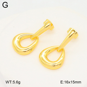 2E2006680vbll-703  Stainless Steel Earrings
