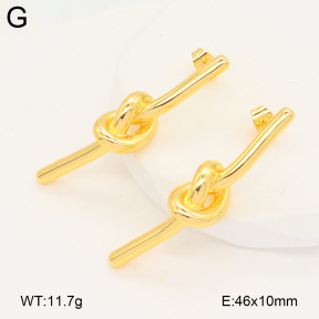 2E2006682bbml-703  Stainless Steel Earrings